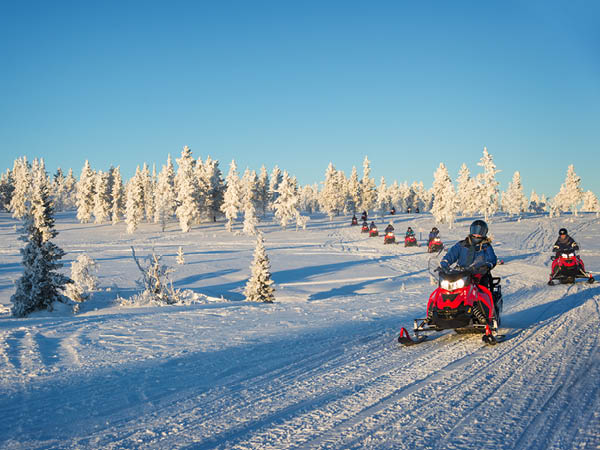 1-Hour Snowmobile Safari Experience