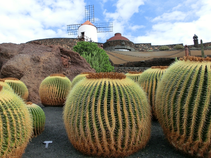 LANZAROTE