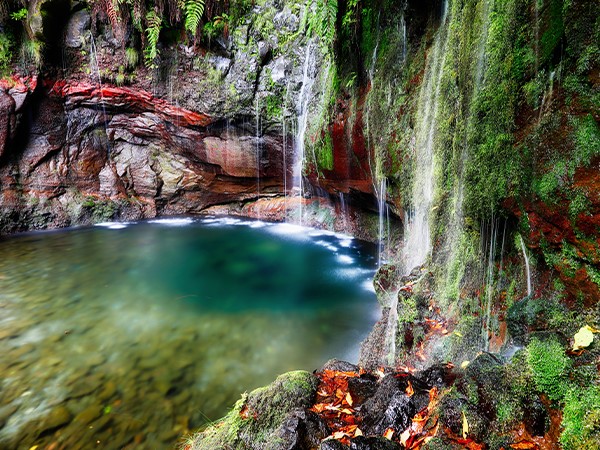 Small group west tour waterfalls and Fanal forest tour