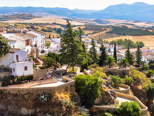 Guided tour and olive oil tasting in Ronda