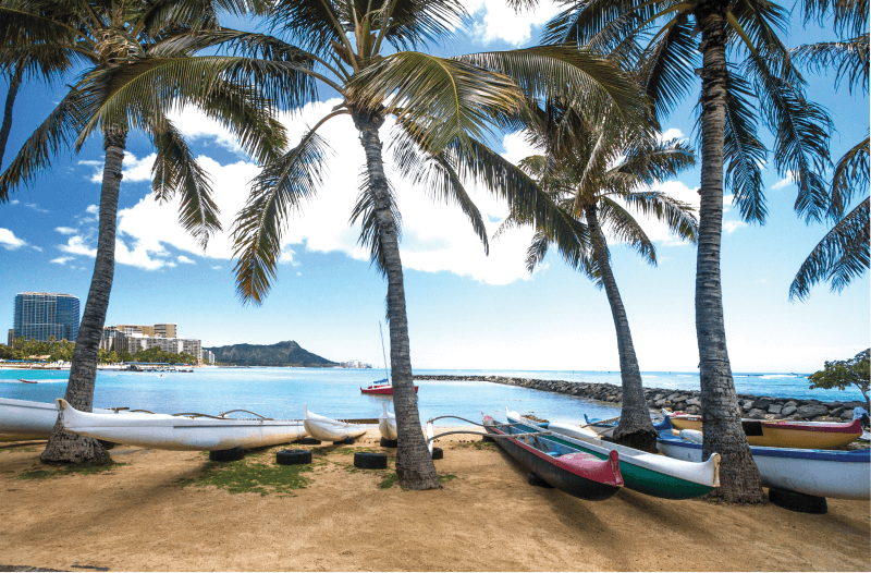 View of the sea through palm trees with boats on the sand, with buildings, mountain and clear sky in the background