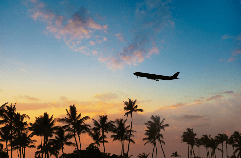 An airplane flying over palm trees at sunset