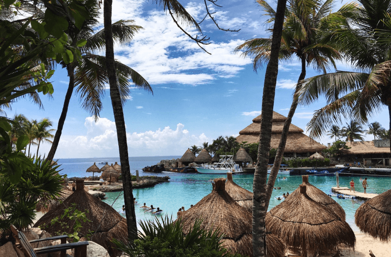 Swimming pool seen through palm trees and palm-roofed huts with clear sky in the background