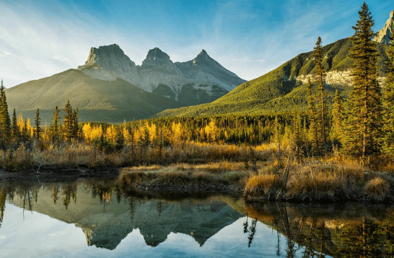 Lake with forested and snowy mountains in the background