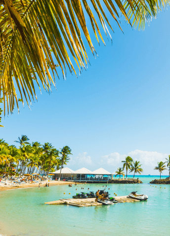 blue sky under a palm tree looking at beach and ocean with water skis