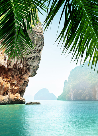 A beautiful body of water seen through palm leaves