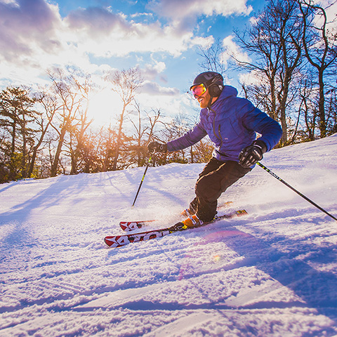 Person skiing downhill